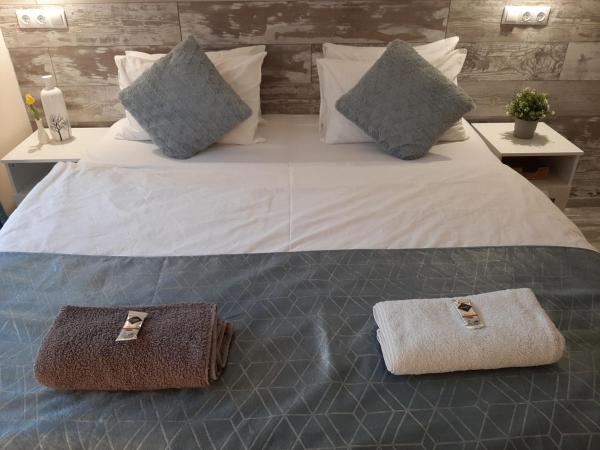 Korona Panzió Budapest : photo 3 de la chambre chambre double ou lits jumeaux supérieure avec terrasse