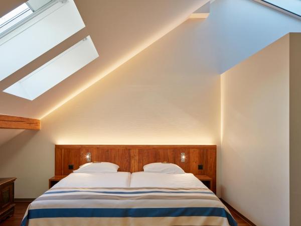 Hotel Adler Zürich : photo 4 de la chambre chambre familiale