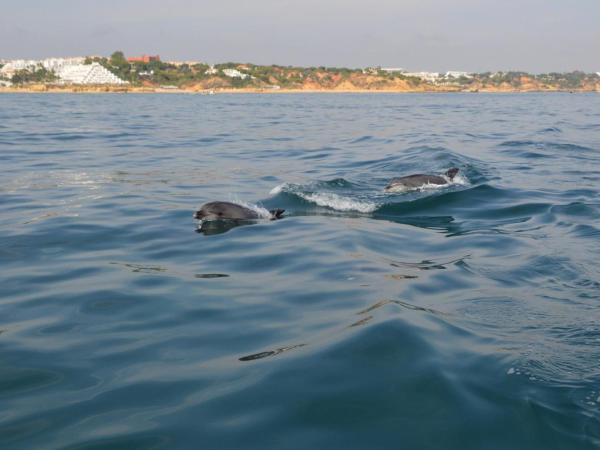 Apartamentos Carruna : photo 4 de la chambre appartement 1 chambre