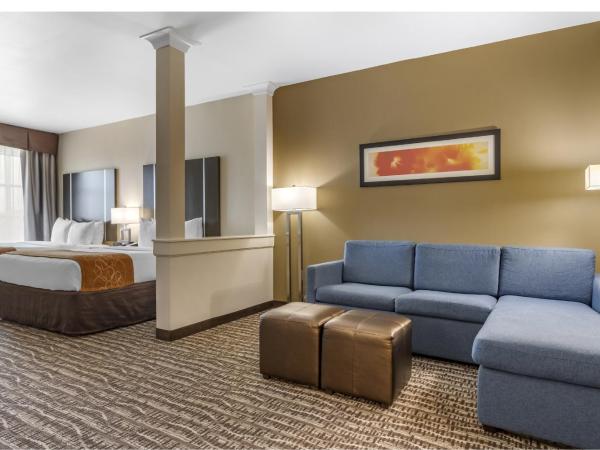 Comfort Suites Near Sam Houston Race Park : photo 6 de la chambre suite avec 2 lits queen-size - non-fumeurs