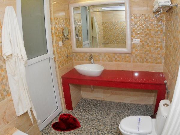 Royal Penguin Boutique Hotel & Spa : photo 8 de la chambre chambre lits jumeaux supérieure