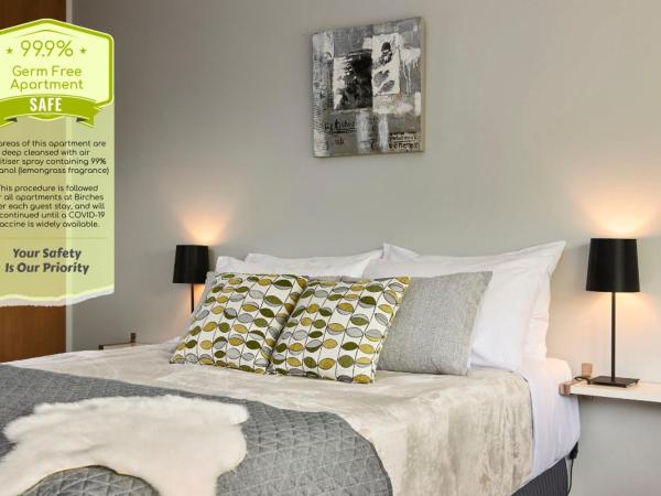 Birches Serviced Apartments : photo 1 de la chambre appartement deluxe