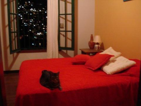 Casa Alecrim : photo 5 de la chambre chambre deluxe double ou lits jumeaux