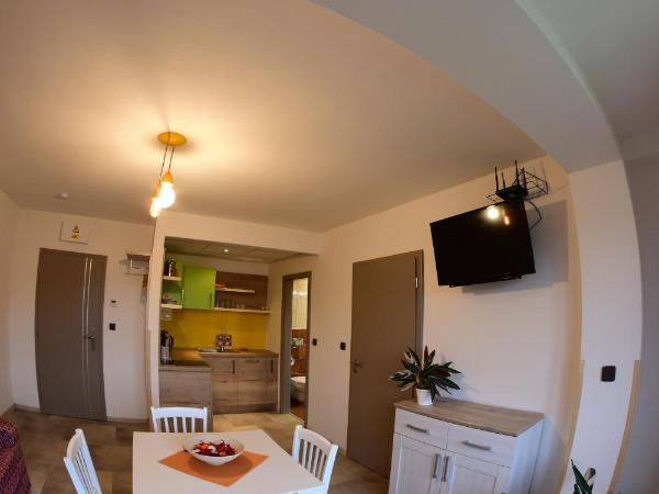 Element : photo 6 de la chambre appartement avec douche