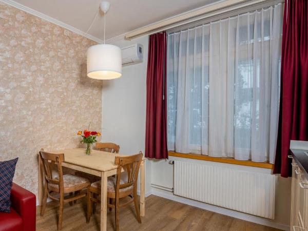 Swiss Inn & Apartments : photo 3 de la chambre appartement 1 chambre Économique