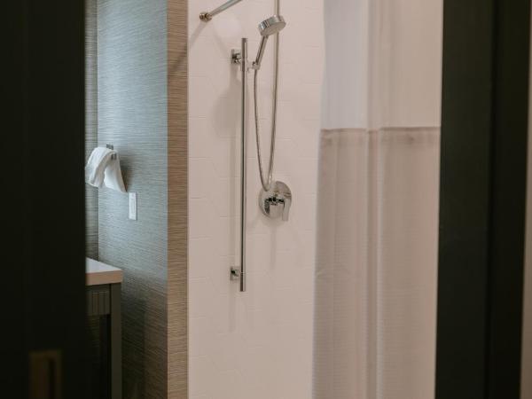 Hotel Indigo - St. Louis - Downtown, an IHG Hotel : photo 1 de la chambre suite avec douche accessible en fauteuil roulant - non-fumeurs