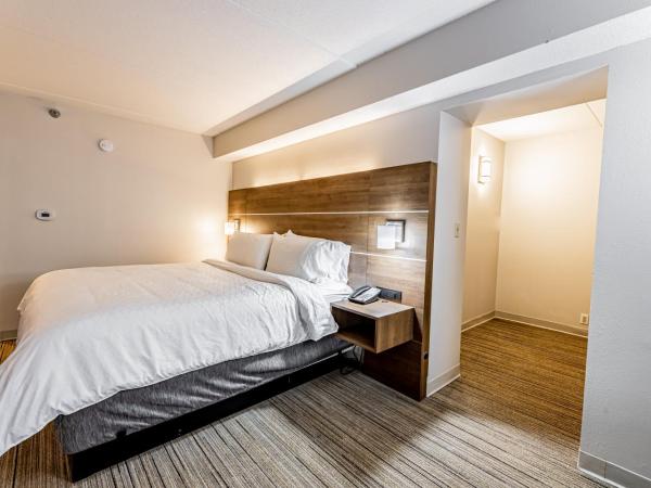 Holiday Inn Express Indianapolis South, an IHG Hotel : photo 5 de la chambre chambre lit king-size standard