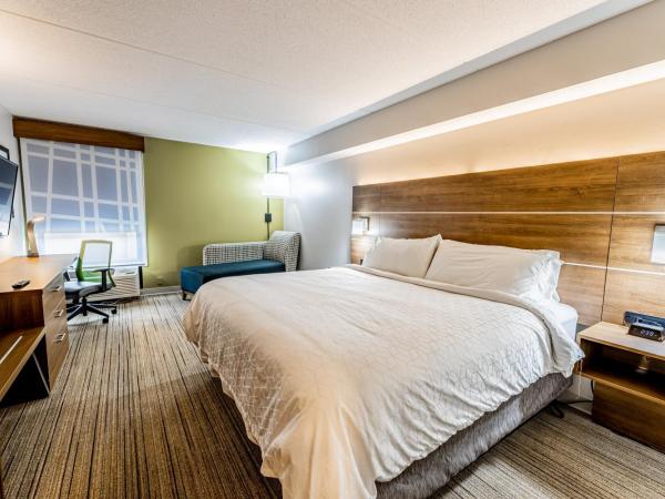 Holiday Inn Express Indianapolis South, an IHG Hotel : photo 10 de la chambre chambre lit king-size deluxe - non-fumeurs 