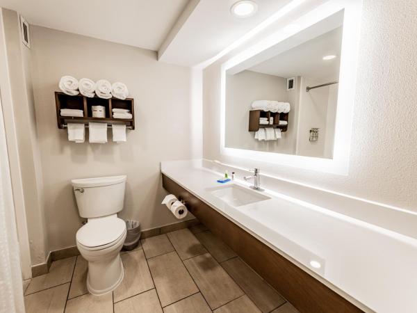 Holiday Inn Express Indianapolis South, an IHG Hotel : photo 3 de la chambre chambre lit king-size standard avec canapé-lit - non-fumeurs