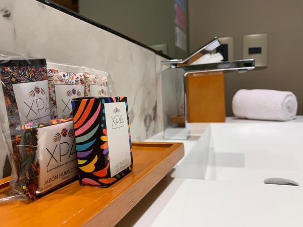 Hotel Clé Reforma Insurgentes : photo 10 de la chambre chambre double standard