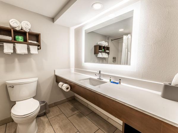 Holiday Inn Express Indianapolis South, an IHG Hotel : photo 9 de la chambre chambre lit king-size standard avec canapé-lit - non-fumeurs