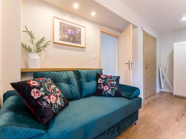 Bory6a Apartamenty & Free Parking : photo 3 de la chambre appartement de luxe 3