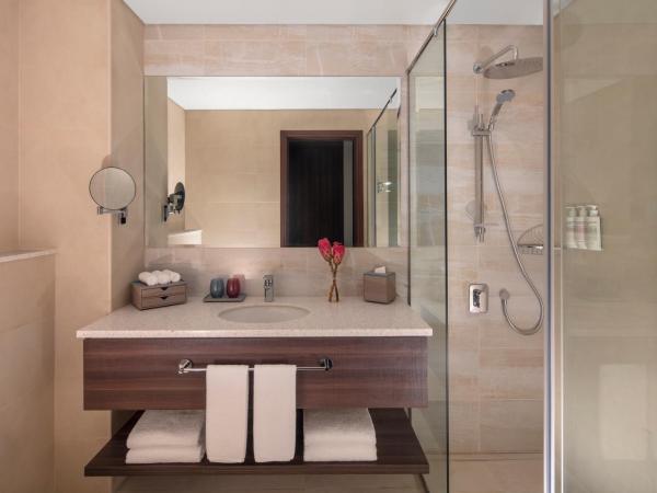 Avani Plus Palm View Dubai Hotel & Suites : photo 5 de la chambre studio - vue sur ville