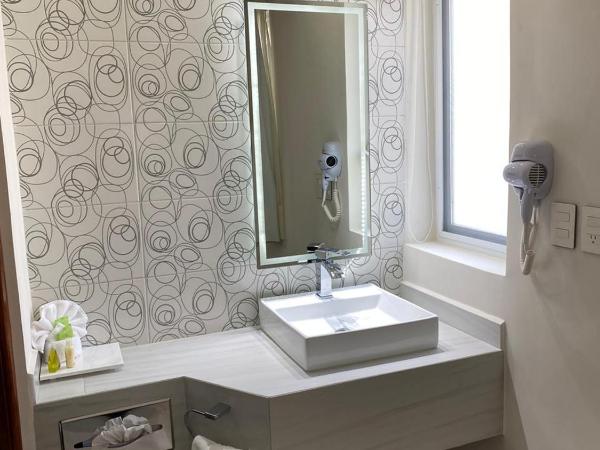 Hotel Posada Quinta Las Flores : photo 6 de la chambre suite deluxe avec baignoire spa