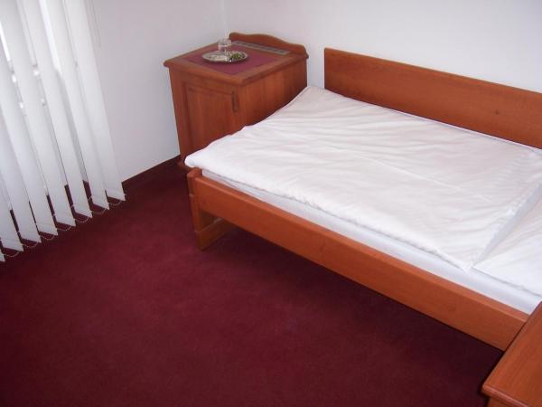 Hotel Pegas Brno : photo 2 de la chambre chambre simple