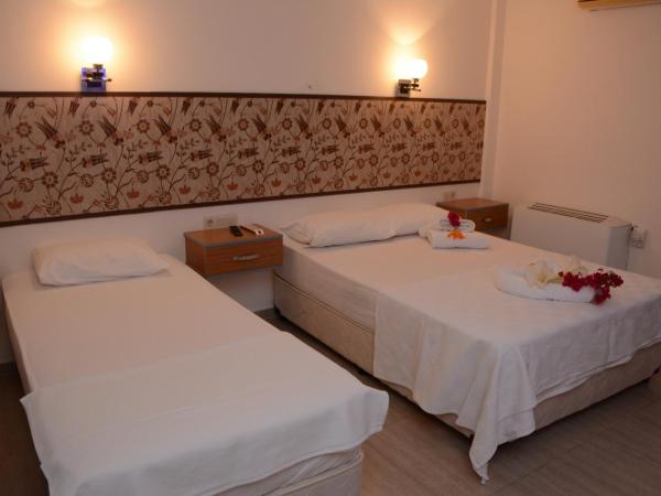 Manolya Hotel : photo 4 de la chambre studio