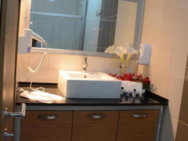 Manolya Hotel : photo 5 de la chambre studio