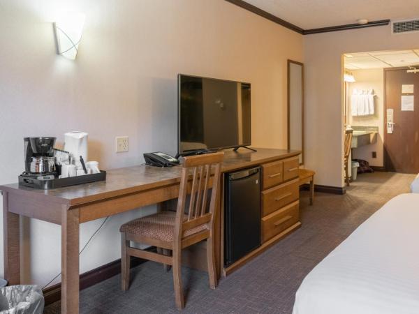 The Rundlestone Lodge : photo 5 de la chambre chambre supérieure avec 2 lits queen-size