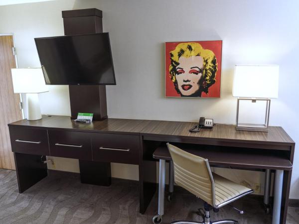 Holiday Inn New Orleans-Downtown Superdome, an IHG Hotel : photo 6 de la chambre chambre standard