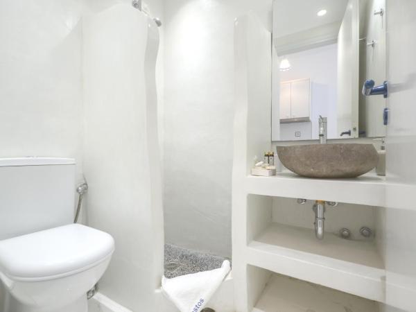 Nostos Studios at Saint George beach Naxos town : photo 1 de la chambre studio lits jumeaux