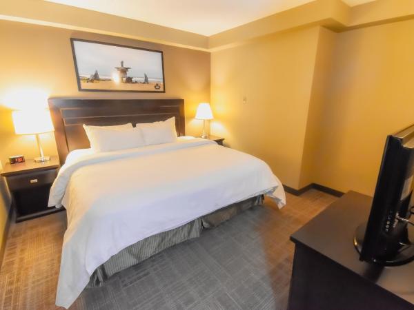 Canad Inns Destination Centre Transcona : photo 3 de la chambre suite lit king-size
