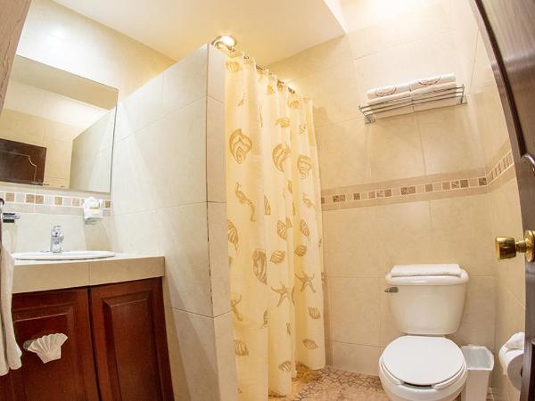 Hotel Mesón de los Remedios : photo 2 de la chambre suite junior sencilla