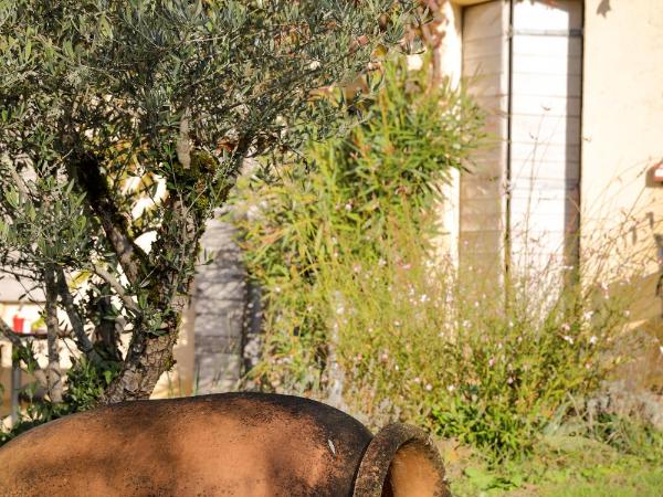 Hotel Le Mas de Castel - Piscine chauffee : photo 6 de la chambre chambre double supérieure avec terrasse