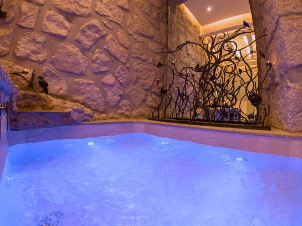 Hotel De La Soledad : photo 2 de la chambre suite master