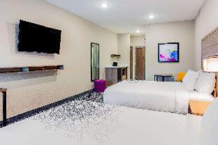 La Quinta by Wyndham San Antonio Alamo City : photo 1 de la chambre room #475962221