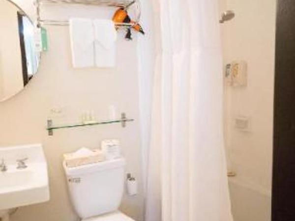 Stay Hotel Waikiki : photo 2 de la chambre room #34369410