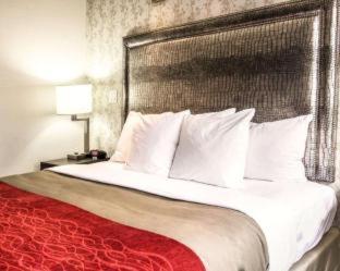 Comfort Inn Manhattan - Midtown West : photo 5 de la chambre chambre lit queen-size - non-fumeurs