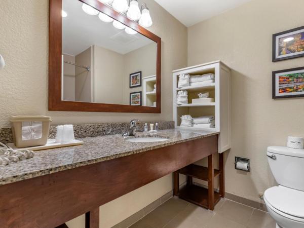 Comfort Suites Medical Center near Six Flags : photo 9 de la chambre suite lit king-size – non-fumeurs