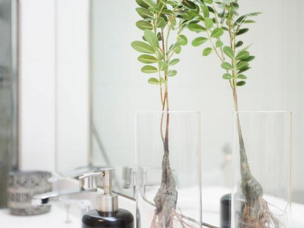 YOU & CO. J. Botánico Boutique : photo 2 de la chambre room #9336918