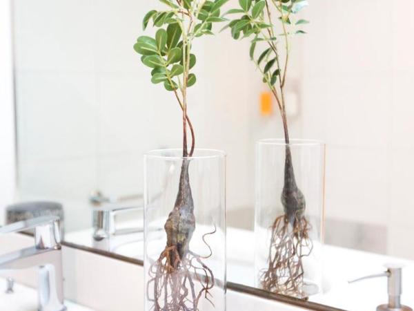 YOU & CO. J. Botánico Boutique : photo 7 de la chambre room #9336919