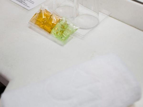 YOU & CO. J. Botánico Boutique : photo 7 de la chambre room #9336921