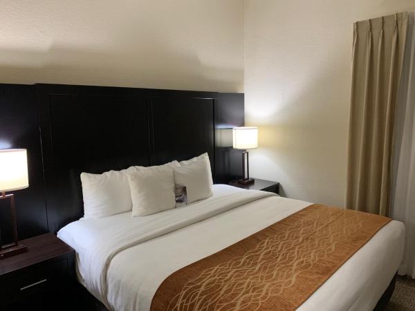 Comfort Inn & Suites Atlanta-Smyrna : photo 1 de la chambre suite affaires lit king-size avec canapé-lit - non-fumeurs