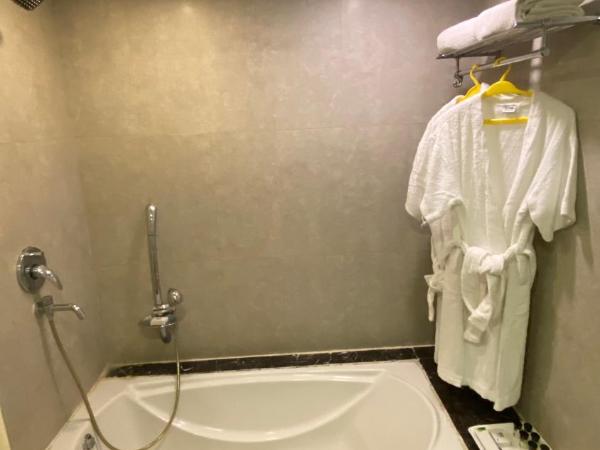 Gis Select Banjara Hill : photo 10 de la chambre suite