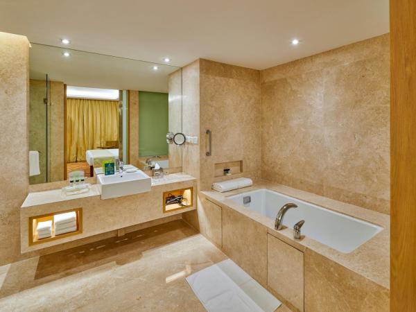 Holiday Inn Mumbai International Airport, an IHG Hotel : photo 2 de la chambre king suite - lounge access/smoking