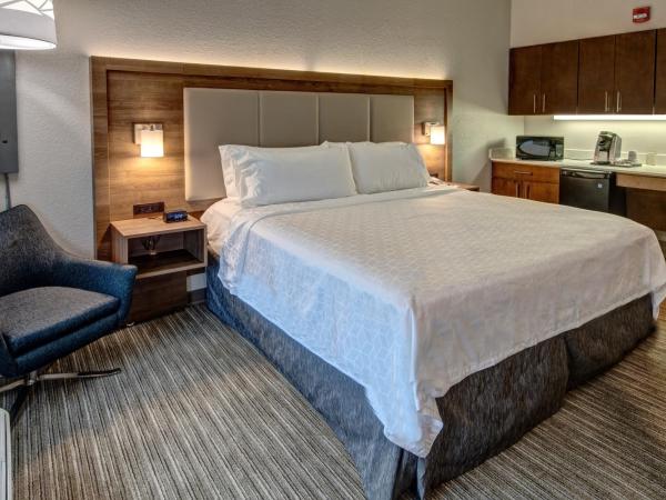 Holiday Inn Express Hotel & Suites Memphis Southwind, an IHG Hotel : photo 4 de la chambre chambre lit king-size standard