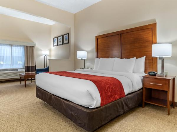 Comfort Suites Airport : photo 9 de la chambre suite avec lit king-size pour personnes à mobilité réduite - non-fumeurs