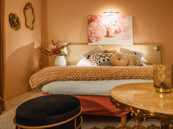 Kyriad Prestige Vannes Centre-Palais des Arts : photo 2 de la chambre chambre double supérieure pour femmes