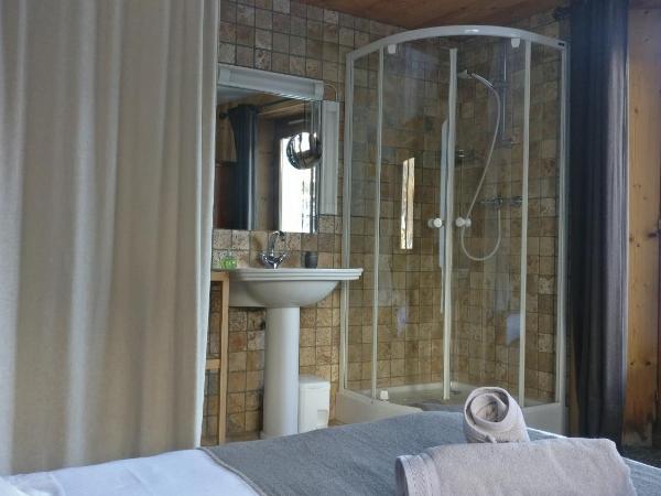Hôtel Bellier : photo 2 de la chambre chambre double avec douche