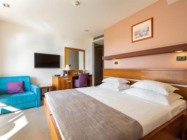 Hotel Plaža : photo 3 de la chambre chambre premium 