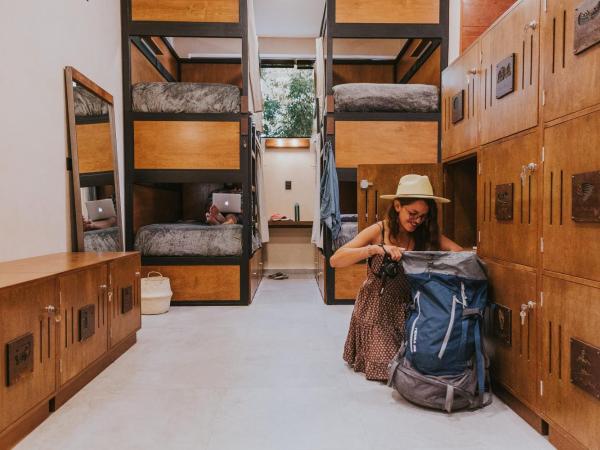 Hostal Barrio Vivo : photo 3 de la chambre dortoir mixte