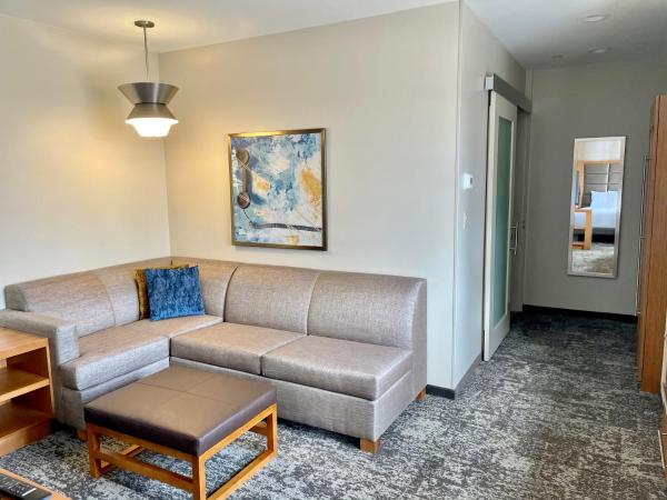 Hyatt Place Houston Downtown : photo 9 de la chambre chambre lit king-size spéciale avec canapé-lit