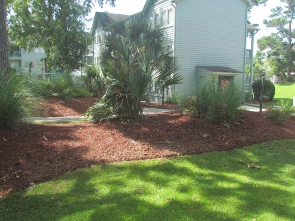Myrtle Beach Resort : photo 9 de la chambre villa 1 chambre - vue sur parc
