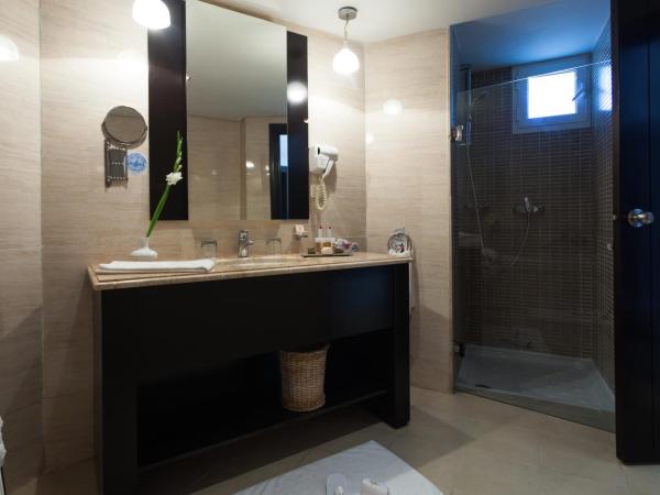 The Sindbad : photo 1 de la chambre chambre simple - vue sur jardin