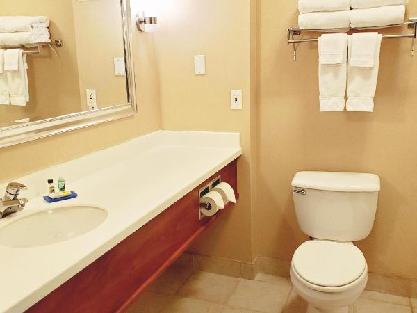 Holiday Inn Express Hotel & Suites Portland-Northwest Downtown, an IHG Hotel : photo 1 de la chambre chambre standard