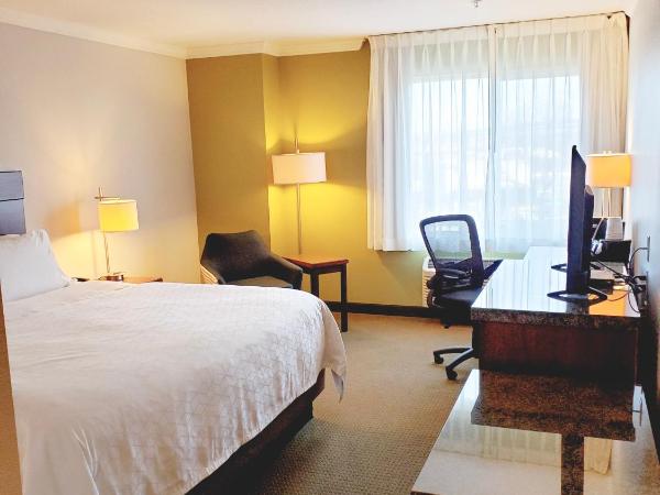 Holiday Inn Express Hotel & Suites Portland-Northwest Downtown, an IHG Hotel : photo 4 de la chambre chambre standard