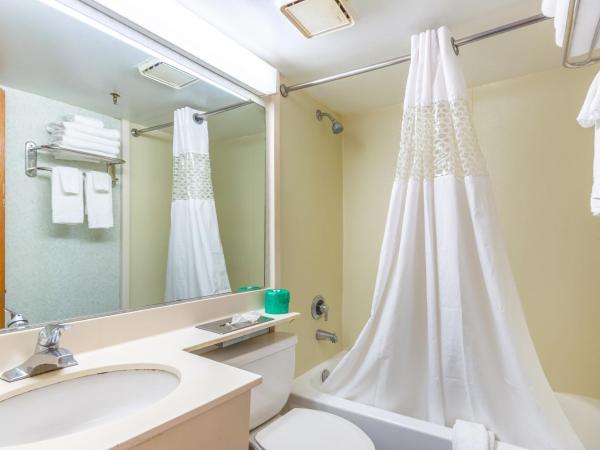 Seaview Hotel : photo 1 de la chambre chambre double avec 2 lits doubles - non-fumeurs/rez-de-chaussée